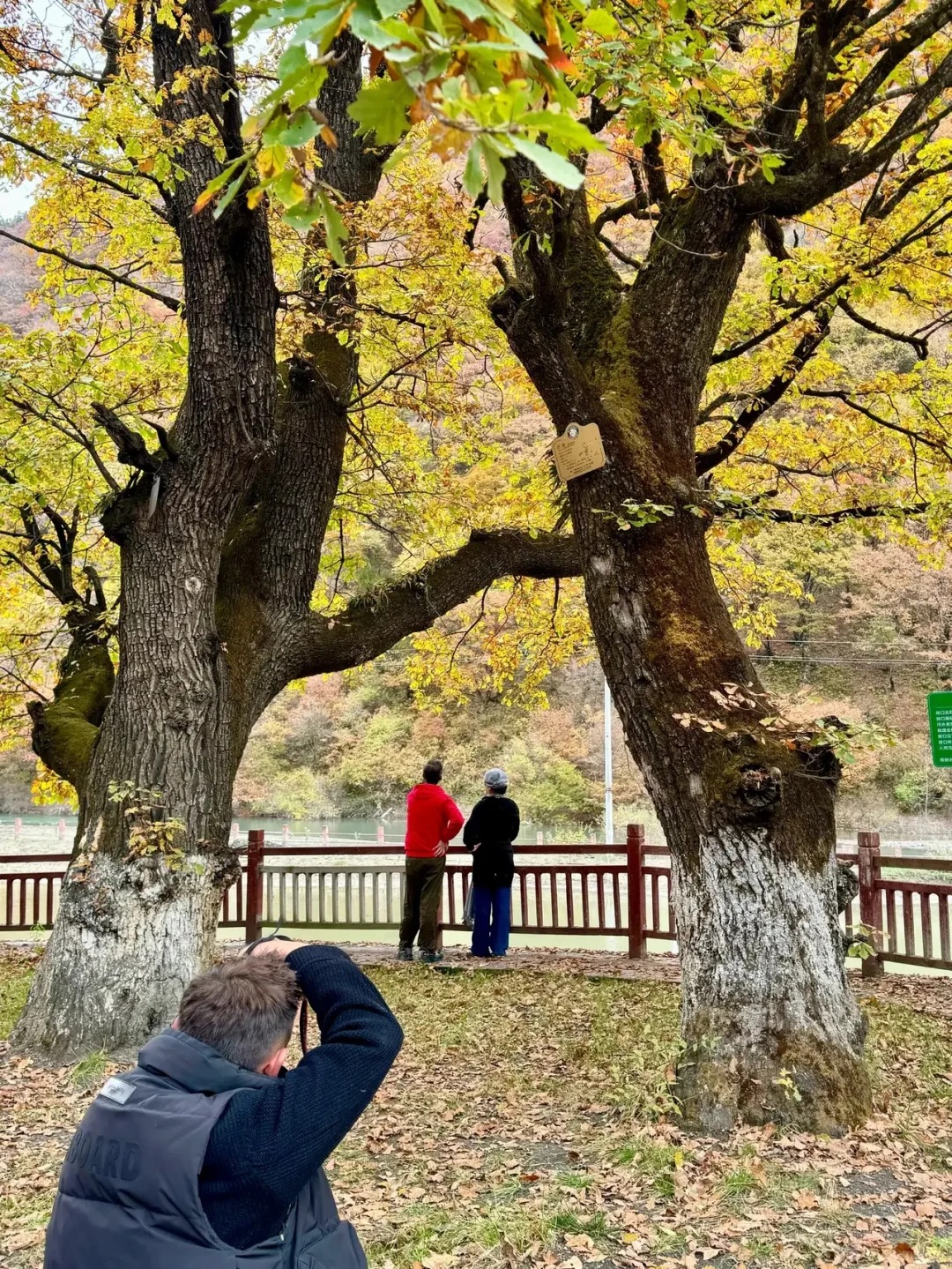 去川西，看彩林_5_annie布兜_川西黑水县-来自52tours 我爱旅游网